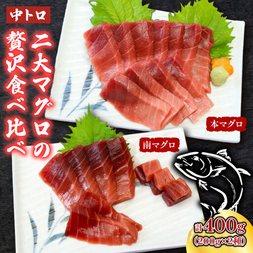 天然本マグロ　天然南マグロ　中トロ各１柵　（計４００ｇ）　食べ比べまぐろ 鮪 海鮮 冷凍 さしみ 刺身 父の日 高知 室戸 マグロ