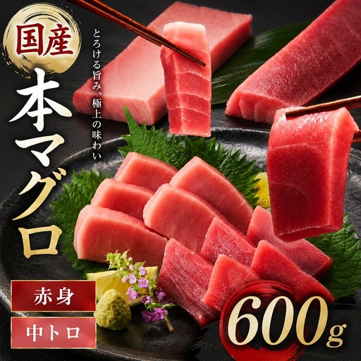 国産本まぐろ 中トロ 赤身 600g [ まぐろ ] / 2-134