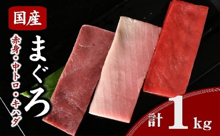 国産マグロ 刺身食べ比べセット 約1kg [まぐろまぐろまぐろまぐろまぐろまぐろまぐろまぐろまぐろ][2.5-5]