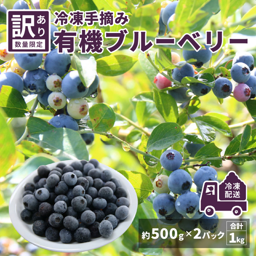 [先行予約][7月中旬以降順次発送][訳あり]令和8年産[冷凍]手摘み有機ブルーベリー1kg(500g × 2パック)