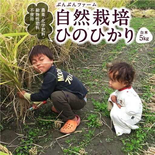 ぶんぶんファーム 自然栽培 ひのひかり 白米 5kg