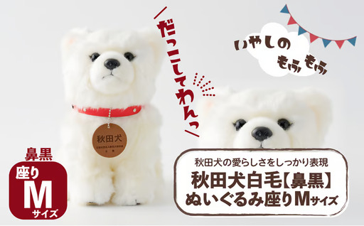 65P7304 秋田犬白毛(鼻黒)ぬいぐるみ　座りＭサイズ【秋田犬保存会】