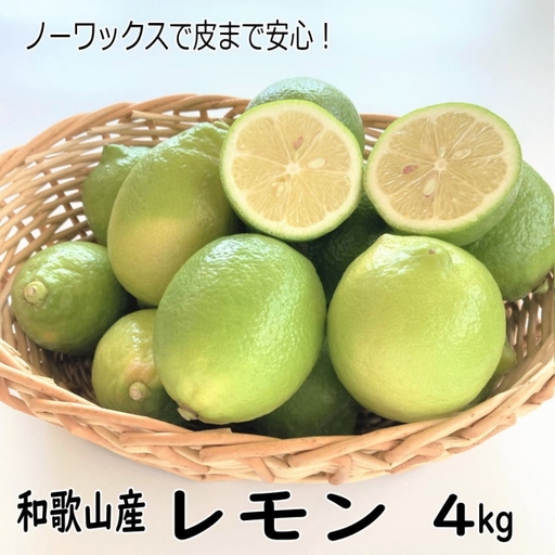 和歌山産レモン/グリーンレモン 4kg【国産レモン】《先行予約》【1012-3】