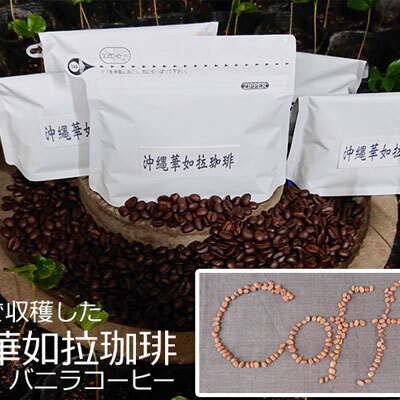 【100%名護市産】コーヒー（粉）100g×2袋