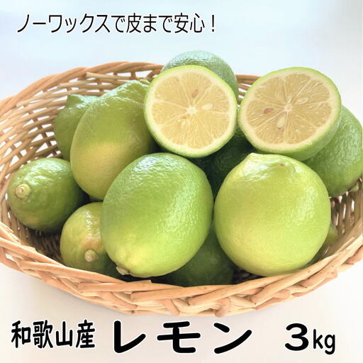 和歌山産レモン/グリーンレモン 3kg 【国産レモン】《先行予約》【1013-3】