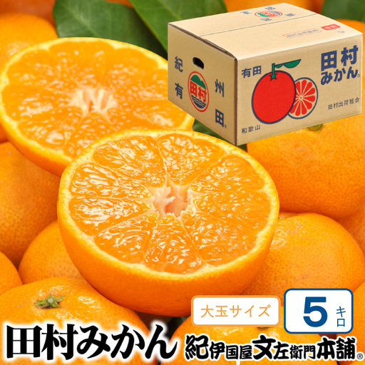 田村みかん 5kg 秀品【大玉サイズ】/紀州和歌山有田郡湯浅町田村地区産 ◆2026年11月下旬～2027年1月中旬頃に順次発送予定(お届け日指定不可)　紀伊国屋文左衛門本舗【kstb305B】
