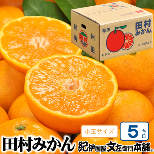 田村みかん 5kg 秀品【小玉サイズ】/紀州和歌山有田郡湯浅町田村地区産 ◆2026年11月下旬～2027年1月中旬頃に順次発送予定(お届け日指定不可)　紀伊国屋文左衛門本舗【kstb306B】