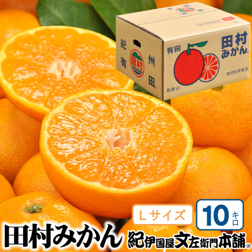 田村みかん 特選ギフト品 10kg【Lサイズ】赤秀/紀州和歌山有田郡湯浅町田村地区産 ◆2026年11月下旬～2027年1月中旬頃に順次発送予定(お届け日指定不可)　紀伊国屋文左衛門本舗【sutb302C】