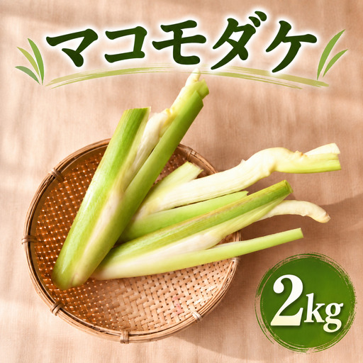 【先行予約・期間限定】マコモダケ ２kg ２０本程度 まこも マコモ 真菰筍 まこもだけ まこもたけ 新鮮 旬 野菜 送料無料 nc003
