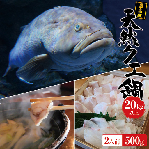 【冷凍】天然 最高級クエ 20kg 以上  クエ鍋セット 2人前(250g×2) 【2026年11月下旬から2027年2月下旬までに順次発送致します。】 / 高級 海鮮 お魚 魚  くえ鍋 クエ鍋 くえ くえ天然 冷凍 海産物【tkw010-2】