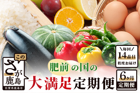 [6ヶ月お届け]肥前の国の農産物大満足定期便