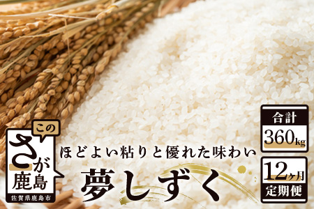  《12ヶ月毎月お届け》佐賀県産 夢しずく　白米３０ｋｇ定期便 V-24
