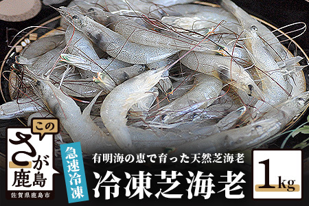 冷凍芝エビ(真エビ)1kg(500g×2パック)えび 海老 有明海 AA-9