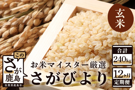  《 12ヶ月 定期便 》 佐賀県産 さがびより 玄米 （ 毎月20kg × 12回 ） V-12
