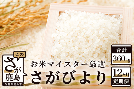 《 12ヶ月 定期便 》 佐賀県産 さがびより 白米 30kg 定期便 V-19
