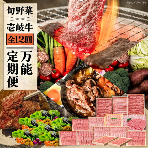 【全12回定期便】《A4-A5ランク》壱岐牛と旬の野菜定期便 [JBO079] 黒毛和牛