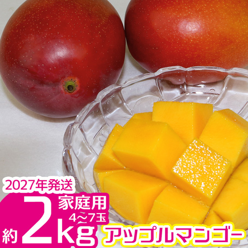 【2027年発送】ご家庭で美味しく！アップルマンゴー約2kg（4玉～7玉）【つは農園】