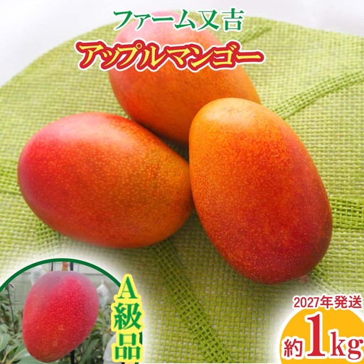 2027年発送【ファーム又吉】A級品アップルマンゴー 約1kg
