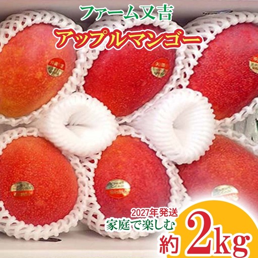 2027年発送【ファーム又吉】 家庭で楽しむアップルマンゴー 約2kg