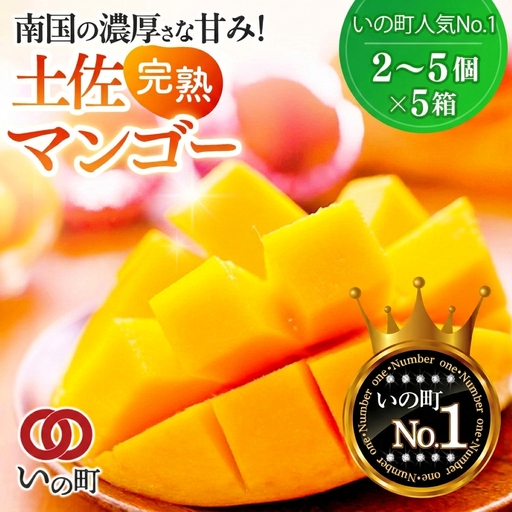 かおる・とろける！土佐マンゴー(2～5個)×５箱