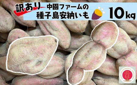 訳あり 中園ファーム 種子島 安納いも ( 生芋 ) 10kg　NFN459【300pt】