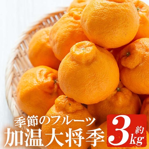 [数量限定 先行予約]鹿児島県産加温大将季(だいまさき)約3kg 不知火(デコポン)の枝変わり新品種! 果樹[01-039-02]