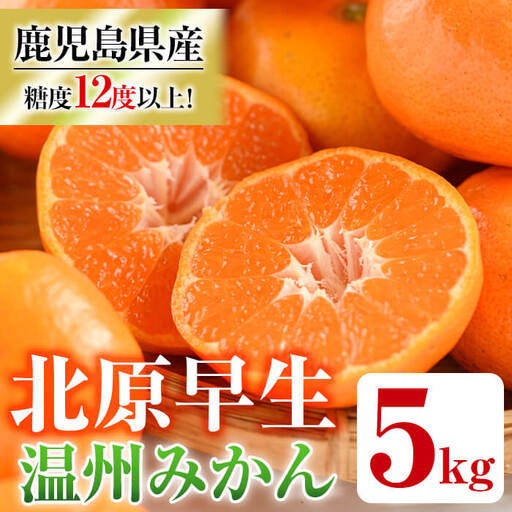 【先行予約】鹿児島県産 温州みかん（北原早生）約5kg みかん【01-039-05】