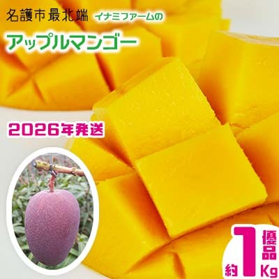【2026年発送】名護市最北端イナミファームの　優品　アップルマンゴー 約1kg フルーツ 果物 期間限定 数量限定 マンゴー 南国 プレゼント お土産 おみやげ ギフト くだもの 沖縄 おきなわ 青果 デザート 冷蔵 おすすめ 人気 夏 スイーツ