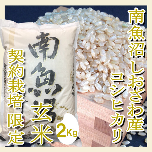 【令和8年　新米予約】【定期便2Kg×12ヶ月】●玄米● 生産者限定 南魚沼しおざわ産コシヒカリ｜玄米【2026年10月上旬から1ヶ月以内に順次発送予定】