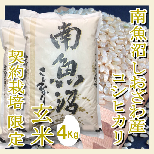 【令和8年　新米予約】【定期便4Kg×6ヶ月】●玄米●生産者限定 南魚沼しおざわ産コシヒカリ｜玄米【2026年10月上旬から1ヶ月以内に順次発送予定】