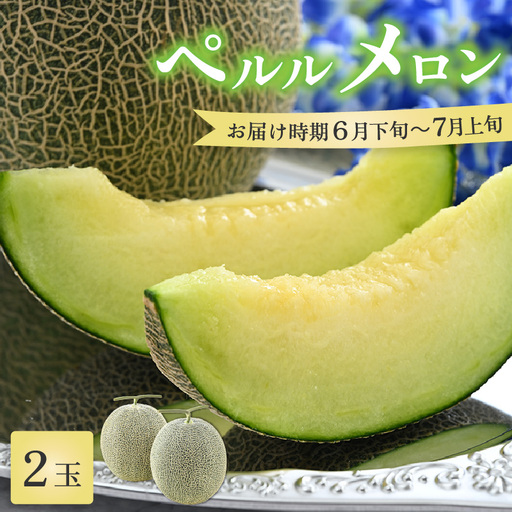 【先行予約】ペルルメロン 2玉（約2kg以上×2玉）青肉品種 高級メロン！ ／ マスクメロン 大玉 果物 フルーツ ギフト 農家直送 ※2027年6月下旬以降順次発送 [aw065-a016]