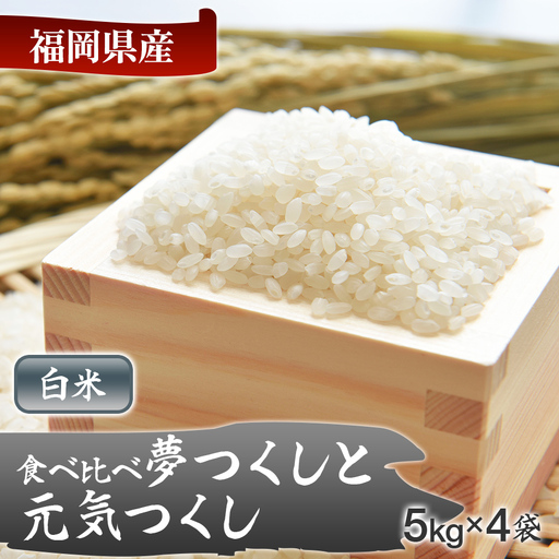 令和8年産 福岡県産米食べ比べ（白米）「夢つくし」と「元気つくし」セット 計20kg