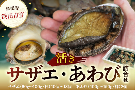 海鮮 サザエ あわび詰合せ 計12〜15個 海鮮 セット [033_1775]
