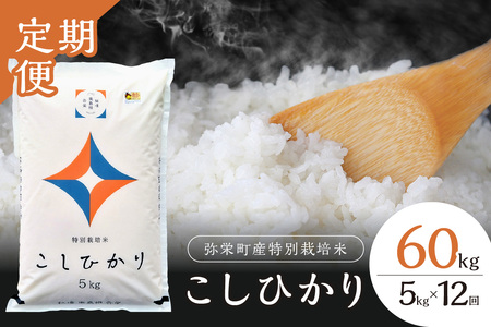 【定期便】【令和7年産】弥栄町産特別栽培米「秘境奥島根弥栄」こしひかり5kg（12回コース） 定期便 12回 お米 こしひかり 5キロ 【090_1878】
