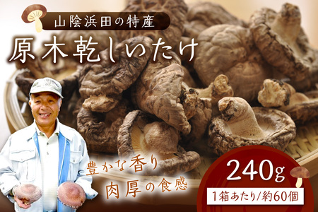 原木乾しいたけ 干ししいたけ 椎茸 乾物 干し 乾燥しいたけ きのこ 原木栽培 原木椎茸 原木しいたけ 肉厚しいたけ [010_1950]