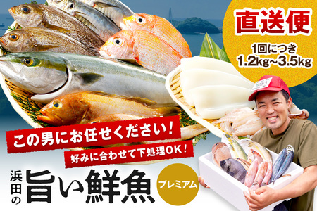 浜田のプレミアム鮮魚 海鮮 海鮮 セット [006_2045]