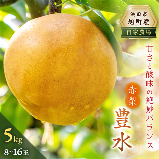 [先行予約] 赤梨(豊水) 5kg 8〜16玉 梨 豊水 果物 [002_1964]