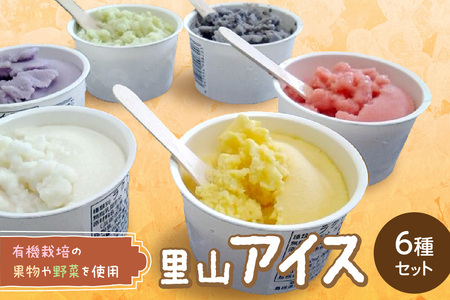 里山アイスセット(6種セット) 詰め合わせ ギフト 母の日 お中元 ご褒美 取り寄せ 贈り物 アイスギフト 冷菓 ひんやりグルメ 少額 お手頃 お菓子 デザート [015_1471]