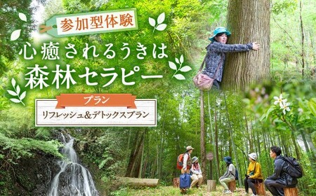 [参加型体験]リフレッシュ&デトックス 心癒されるうきはの森林セラピー / 癒やし リフレッシュ 森 うきは市