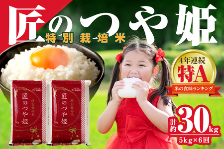 [令和7年産][定期便]特別栽培米「匠のつや姫」 5kg×6回コース[7月上旬より配送] 定期便 定期便 米 コメ 令和7年産 5キロ 島根 県産 新米 精米 玄米 お米 精米 白米 ごはん ご飯 新生活 準備 [058_1860]