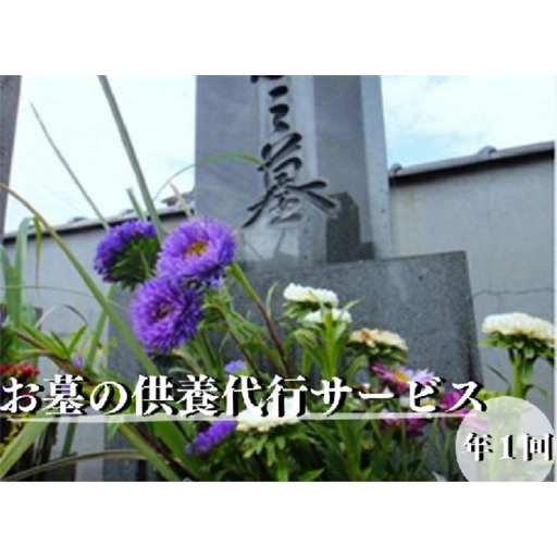 お墓の供養代行サービス 1回プラン：B110-034
