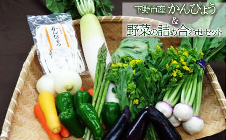 下野市産 かんぴょう&野菜の詰め合わせセット | 栃木県 下野市