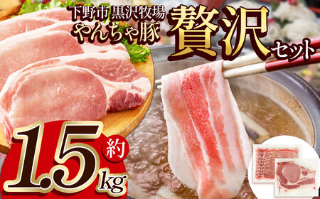下野市 黒沢牧場 やんちゃ豚贅沢セット 約 1.5kg | 栃木県 下野市
