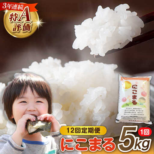 【12回定期便】 長崎県産 精米 にこまる 5kg [SDR004] 米