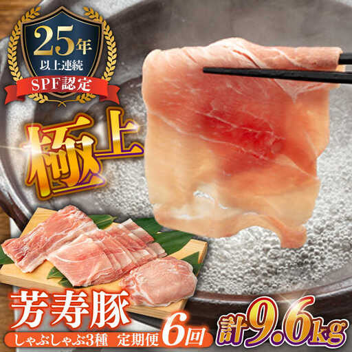 【6回定期便】SPF豚 計1600g 芳寿牧場 [SEI015] SPF豚