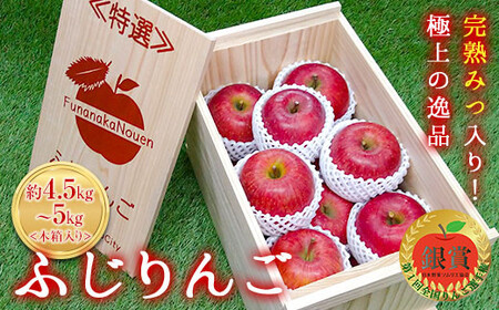 【令和8年産先行予約】 《特選》プレミアム 完熟みつ入りふじりんご 約4.5～5kg (約15玉 サイズおまかせ) 木箱入り 《令和8年12月中旬～発送》 【全国りんご選手権 銀賞】 『船中農園』 林檎 リンゴ 果物 フルーツ デザート 山形県 南陽市 [1454]
