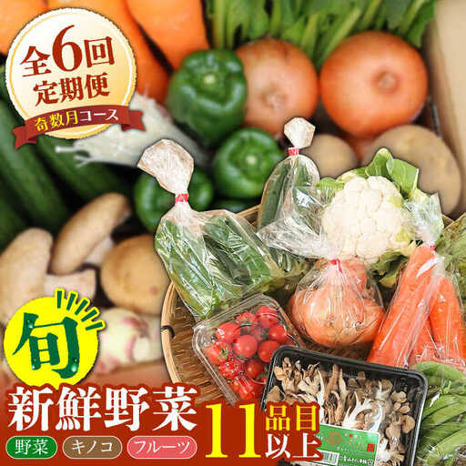 【6回定期便 奇数月コース】野菜 キノコ 果物 11品目 詰め合わせ 野菜 / 吉岡青果 [SCZ005] 