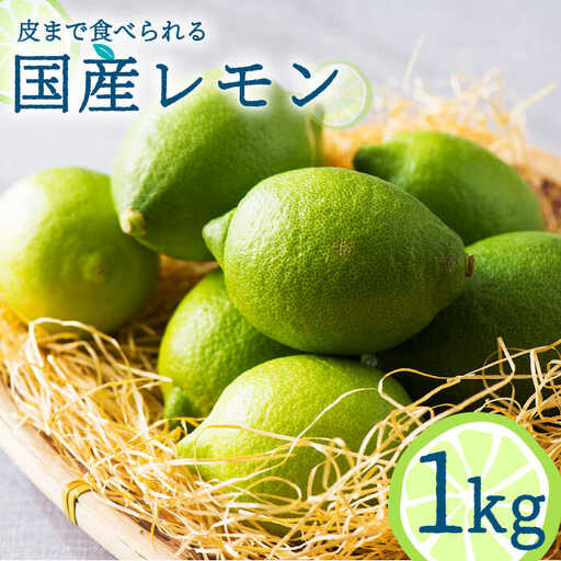 【2026年10月-発送】国産レモン 1kg  / レモン れもん 檸檬 国産 ユーレカ 果物 フルーツ 柑橘  / 南島原市 / 長崎県農産品流通合同会社 [SCB016]