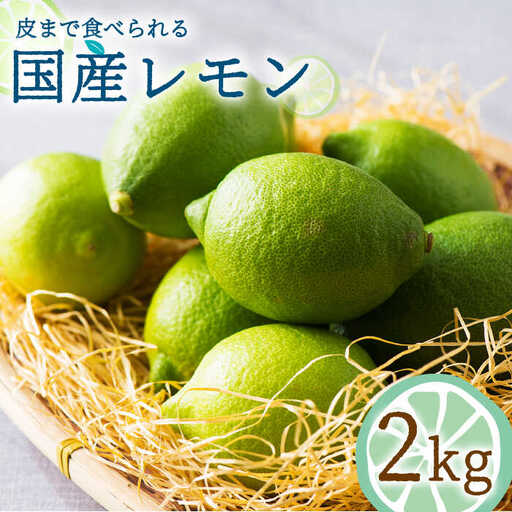【2026年10月-発送】国産レモン  2kg  / レモン れもん 檸檬 国産 ユーレカ 果物 フルーツ 柑橘  / 南島原市 / 長崎県農産品流通合同会社 [SCB017]