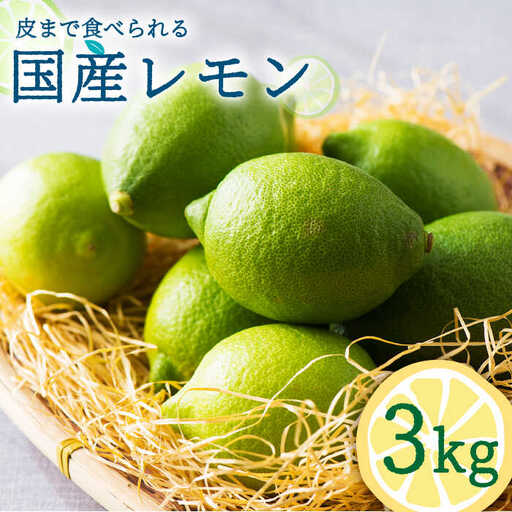 【2026年10月-発送】国産レモン 3kg  / レモン れもん 檸檬 国産 ユーレカ 果物 フルーツ 柑橘 / 南島原市 / 長崎県農産品流通合同会社 [SCB035]
